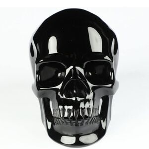 Black Obsidian Crystal Skull